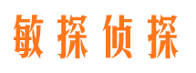 辰溪市私家侦探公司